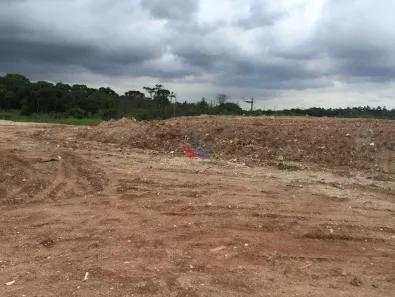 Lote/Terreno à venda, 10000m² no Thomaz Coelho, Araucária