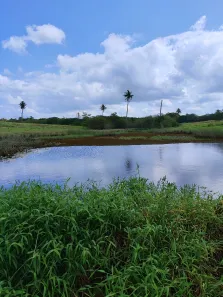 Fazenda/Sítio com 2 Quartos à venda, 1030000m² no , Macaíba