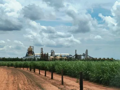 Fazenda/Sítio com 1 Quarto à venda, 2000m² no Área Rural de Araçatuba, Araçatuba
