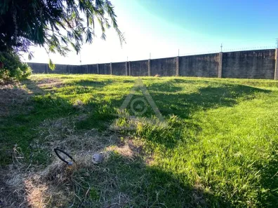 Lote/Terreno à venda, 698m² no Residencial Parque das Araucárias, Campinas