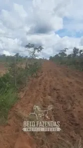 Fazenda/Sítio à venda, 65390000m² no , Riachão das Neves