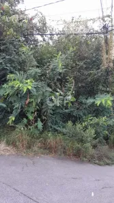 Lote/Terreno à venda, 430m² no Jardim São Vicente, Campinas