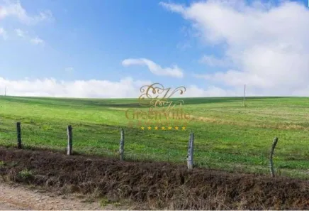 Fazenda/Sítio com 2 Quartos à venda, 1573000m² no Centro, Lapa