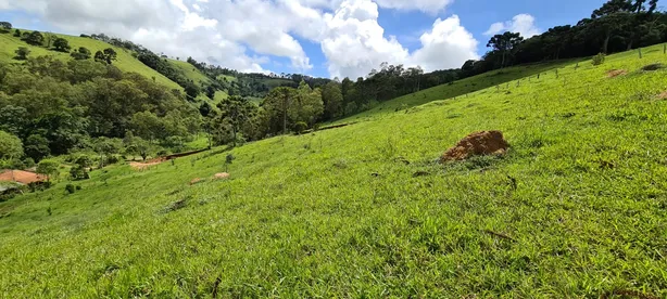 Lote/Terreno à venda, 338800m² no Itapeva, Itapeva