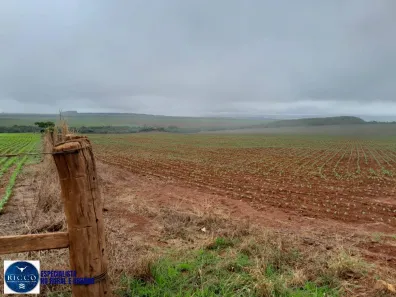 Fazenda/Sítio com 3 Quartos à venda, 305m² no Centro, Água Fria de Goiás