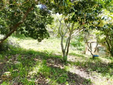 Lote/Terreno à venda, 1480m² no Maravilha, Paty do Alferes