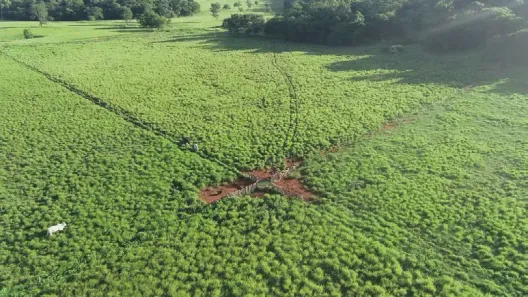 Fazenda/Sítio com 4 Quartos à venda, 300m² no , Montalvânia