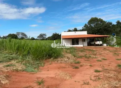 Fazenda/Sítio com 4 Quartos à venda, 160m² no Área Rural de Uberlândia, Uberlândia