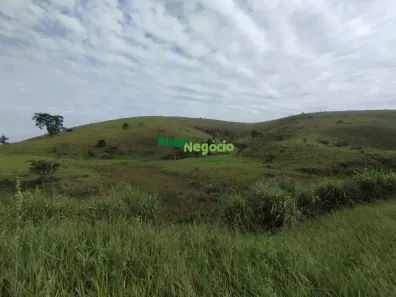 Fazenda/Sítio com 2 Quartos à venda, 532400m² no Centro, Cruzeiro