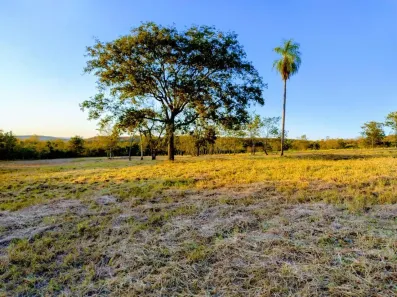 Fazenda/Sítio à venda, 30000m² no Vila Progresso, Campo Grande