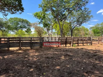 Fazenda/Sítio à venda, 1m² no Área Rural de São Desidério, São Desidério