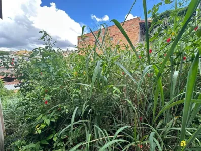 Lote/Terreno à venda, 70m² no Palmeiras, Belo Horizonte