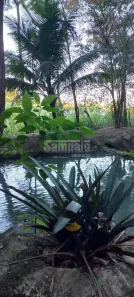 Fazenda/Sítio com 2 Quartos à venda, 62000m² no Campo Grande, Rio de Janeiro