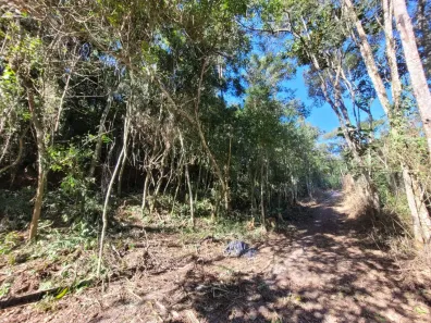 Lote/Terreno à venda, 1762m² no Caraguatá, Mairiporã