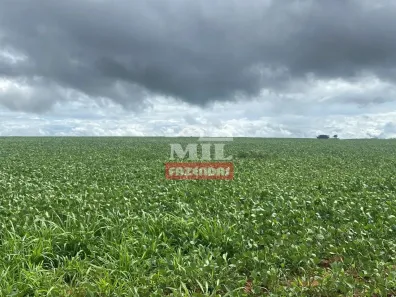 Fazenda/Sítio à venda, 500m² no , Paraúna
