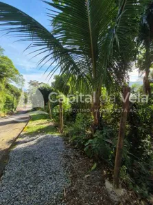 Lote/Terreno à venda, 630m² no Feiticeira (Cambaquara), Ilhabela