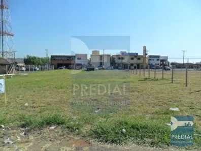 Lote/Terreno para alugar, 360m² no Vila Lutfalla, São Carlos