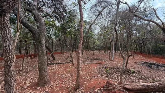 Lote/Terreno à venda, 1000m² no Santa Cruz, Mateus Leme