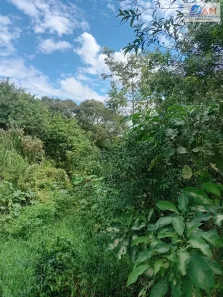 Lote/Terreno à venda, 520m² no Vila Torres, Campo Largo