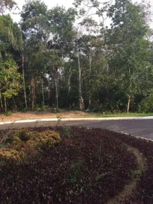 Lote/Terreno à venda, 800m² no Ponta Negra, Manaus