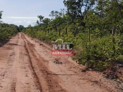 Fazenda/Sítio à venda, 1m² no , Formosa do Rio Preto