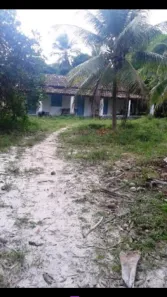 Fazenda/Sítio com 3 Quartos à venda, 400m² no , Conde