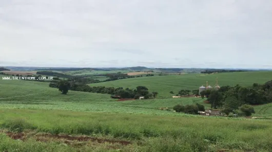 Lote/Terreno à venda, 60500m² no Guairacá, Londrina