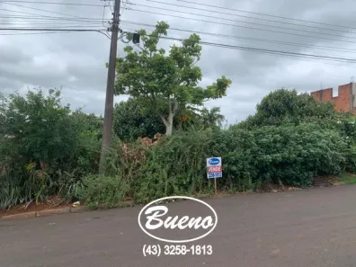 Lote/Terreno com 1 Quarto à venda, 1m² no Esperança, Ibiporã