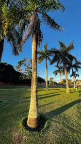 Lote/Terreno à venda, 548m² no Pium (Distrito Litoral), Parnamirim