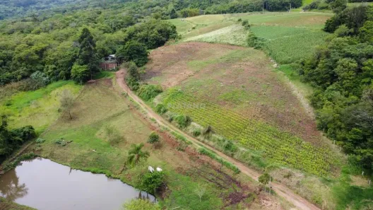 Fazenda/Sítio à venda, 36000m² no Vila Rica, Presidente Lucena