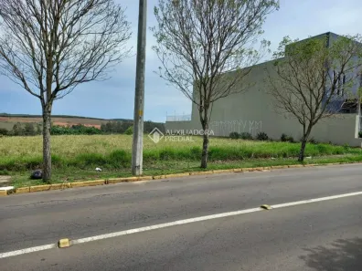 Lote/Terreno à venda, 555m² no Ideal, Novo Hamburgo
