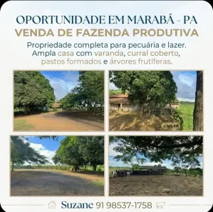 Fazenda/Sítio com 3 Quartos à venda, 762300m² no Área Rural de Marabá, Marabá