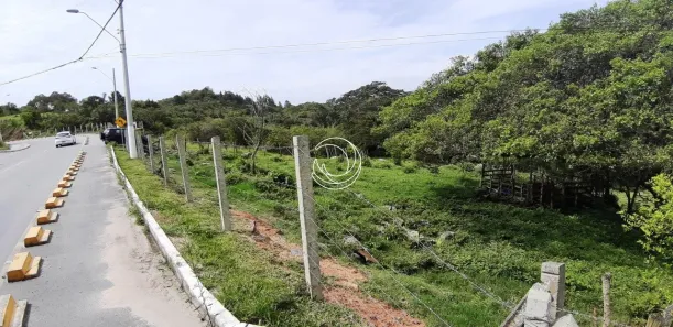 Lote/Terreno à venda, 53356m² no Santo Antônio de Lisboa, Florianópolis