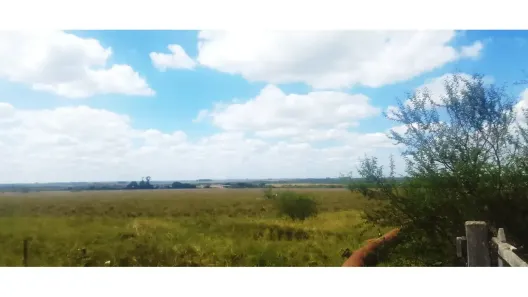 Fazenda/Sítio à venda, 4650000m² no Centenário, Alegrete