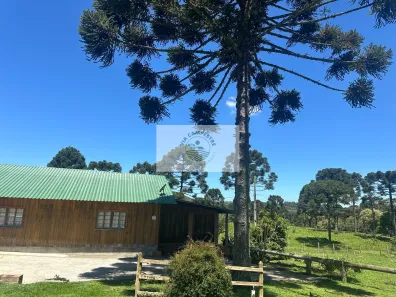 Fazenda/Sítio com 1 Quarto à venda, 4000m² no , Campo Alegre