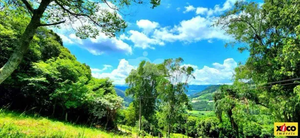 Fazenda/Sítio com 1 Quarto à venda, 3169m² no Pinhal Alto, Nova Petrópolis