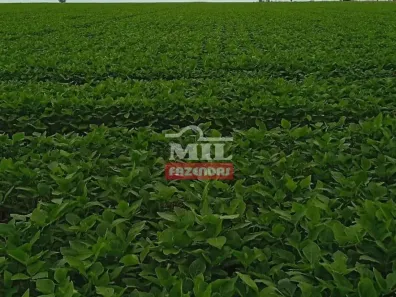Fazenda/Sítio à venda, 500m² no , Dois Irmãos do Tocantins