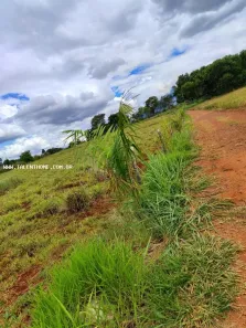 Lote/Terreno à venda, 1500m² no , Ibiporã