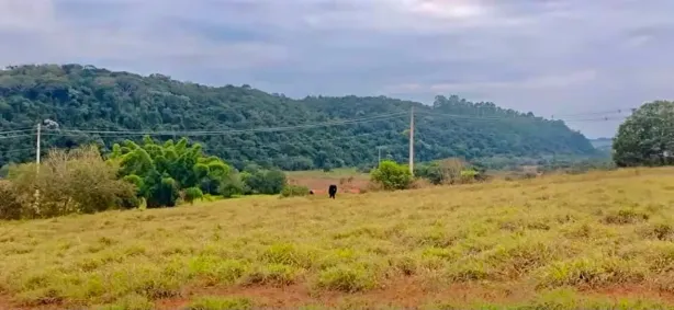 Fazenda/Sítio à venda, 1000m² no , Silvianópolis