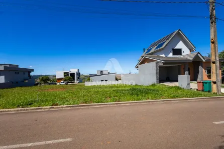 Lote/Terreno à venda, 300m² no Jardim Carvalho, Ponta Grossa