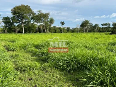 Fazenda/Sítio à venda, 1m² no , Crixás