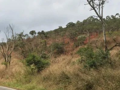 Fazenda/Sítio à venda, 43575m² no BR MG 262, Barra Longa