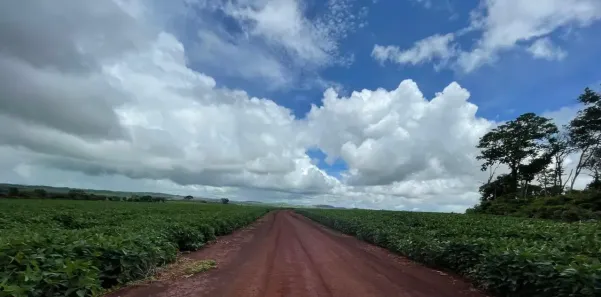 Fazenda/Sítio com 5 Quartos à venda, 14520000m² no , Nazário