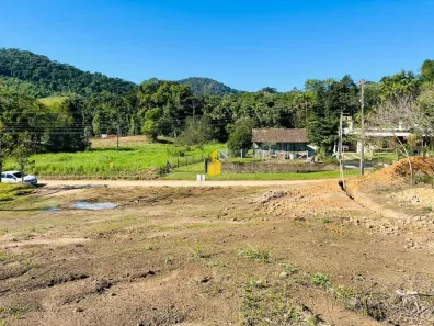 Lote/Terreno à venda, 5000m² no Ribeirão do Bugre, Luiz Alves