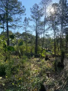 Lote/Terreno à venda, 528m² no Tarumã, Viamão