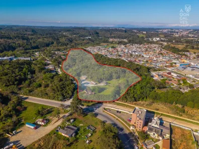 Fazenda/Sítio com 4 Quartos à venda, 64073m² no São Gabriel, Colombo