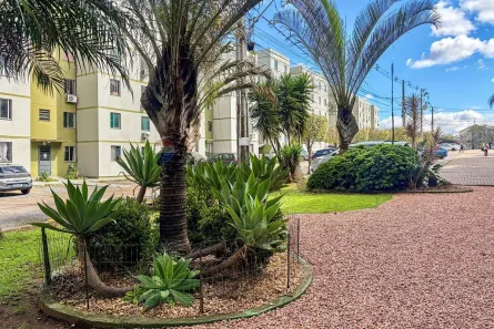 Apartamento com 2 Quartos à venda, 38m² no Pasqualini, Sapucaia do Sul