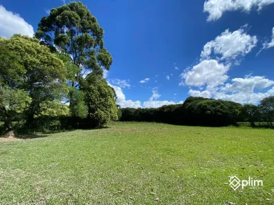 Fazenda/Sítio com 1 Quarto à venda, 46000m² no , Bom Retiro