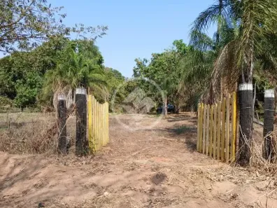 Fazenda/Sítio com 2 Quartos à venda, 8000m² no Comunidade Parque Boa Vista, Várzea Grande
