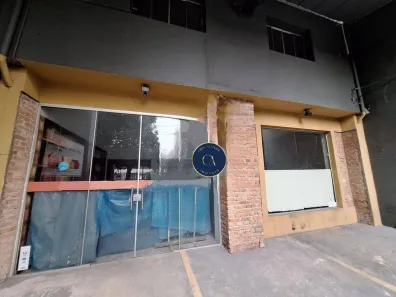 Casa com 3 Quartos para venda ou aluguel, 250m² no Vila Romana, São Paulo